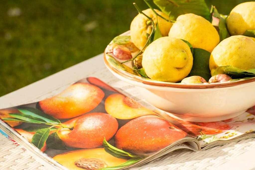 Villa Il Sogno Di Zia Ada Massa Lubrense Εξωτερικό φωτογραφία